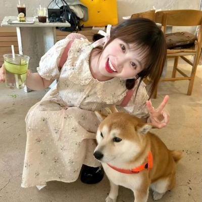 费雪小姐电影版 海报