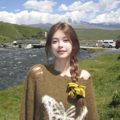 傻瓜 海报
